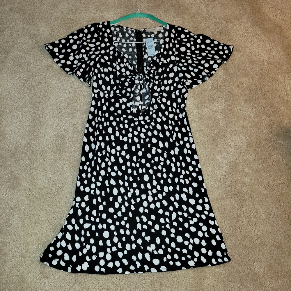 Women's LOFT Dress